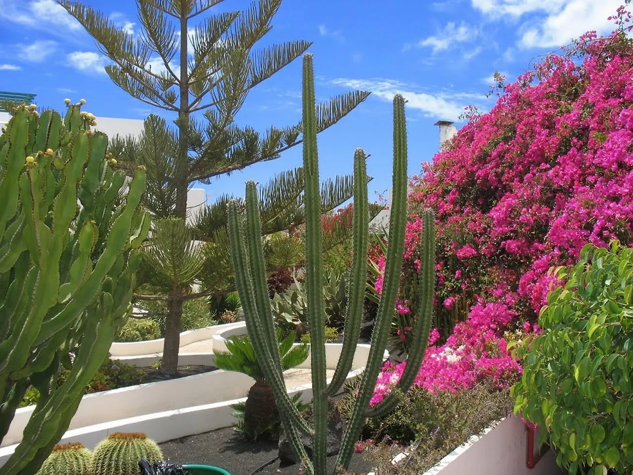 Apartamentos El Guarapo Costa Teguise 3*,